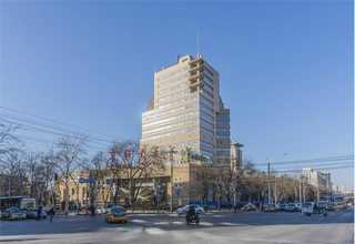 辽宁pet塑料刷丝厂商