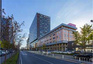 广州艺术家叶惠青老师拍卖证书